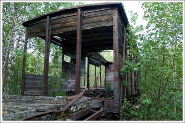 Abandoned Track and Train (45 pics)
