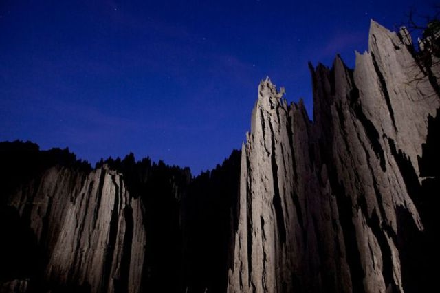 Madagascar Stone Forest (19 pics)