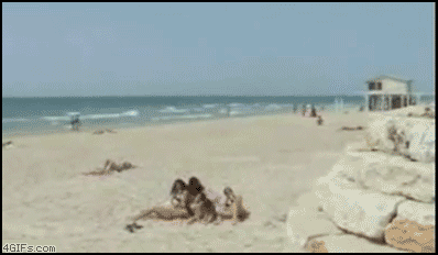 Friday Gif Collection (36 gifs)