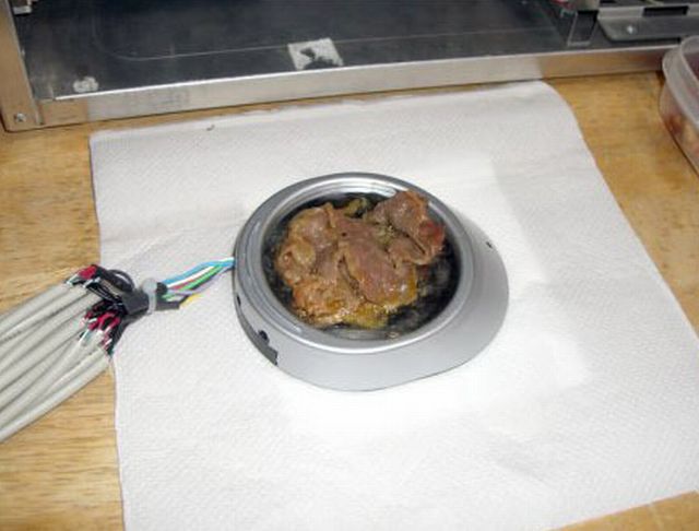 Cooking Using USB Adapters (6 pics)