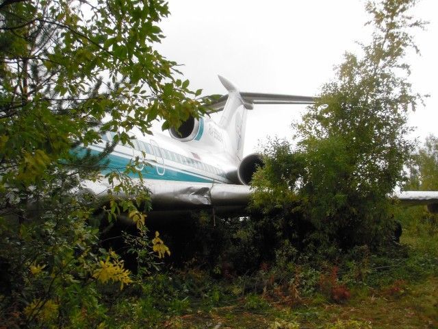 Emergency Landing of Tu-154M (14 pics)