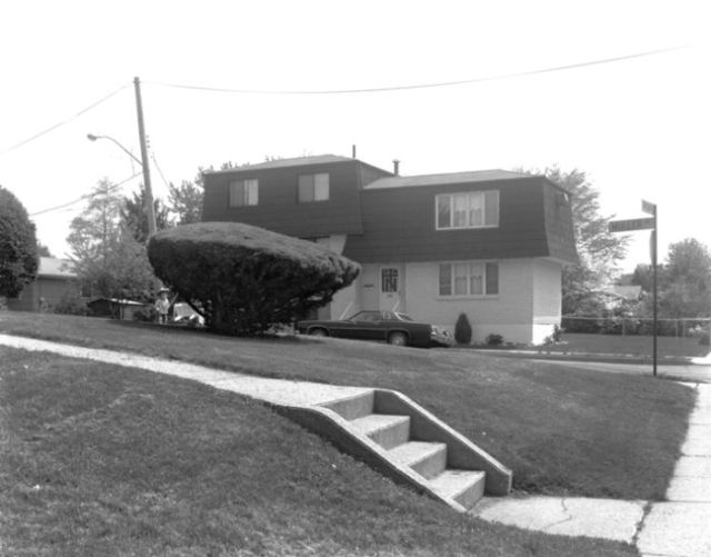 Old Photos of the USA (46 pics) Old Photos of the USA (46 pics)