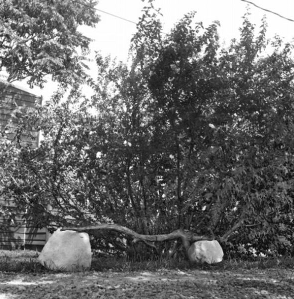 Old Photos of the USA (46 pics) Old Photos of the USA (46 pics)