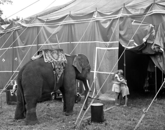 Old Photos of the USA (46 pics) Old Photos of the USA (46 pics)