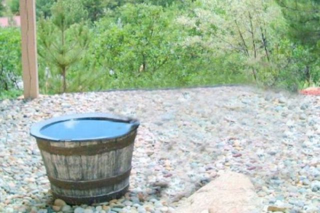 The Reason Why This Barrel Got Empty All the Time (6 pics)