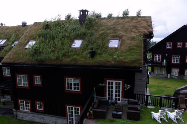 Amazing Grass Roofs (12 pics)
