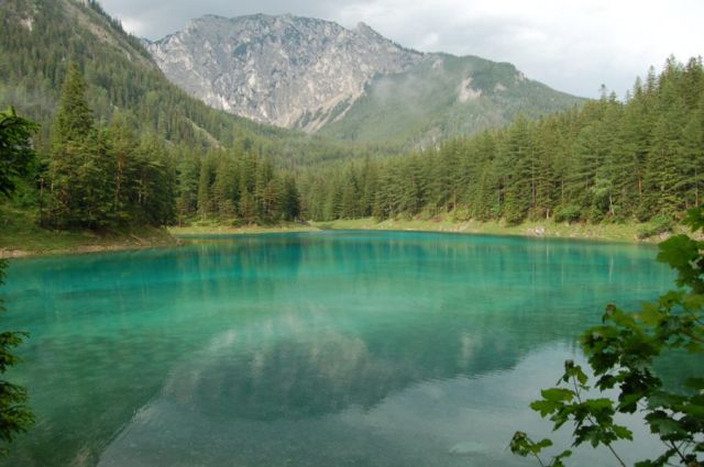 Beautiful Underwater Meadow (28 pics)