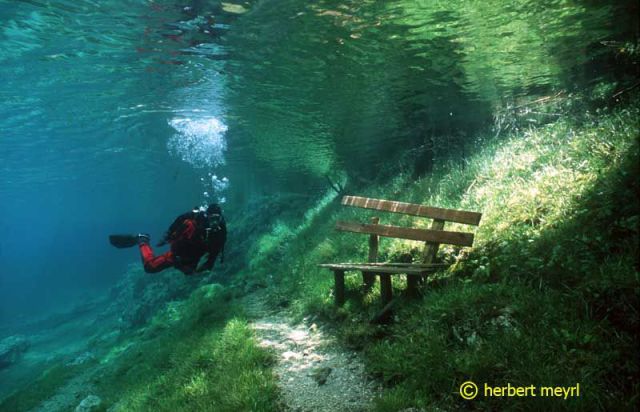 Beautiful Underwater Meadow (28 pics)