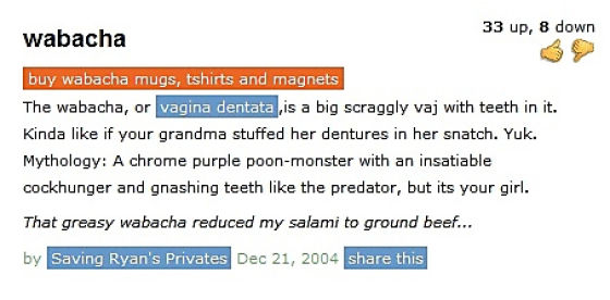 Hilarious Definitions from Urban Dictionary (30 pics)