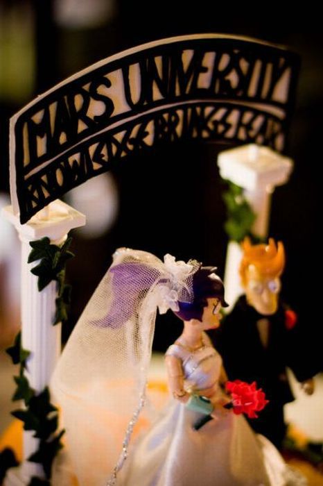 Incredible Futurama Wedding Cake (10 pics)