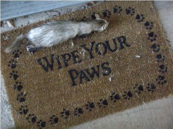 Funny Door Mats (36 pics)