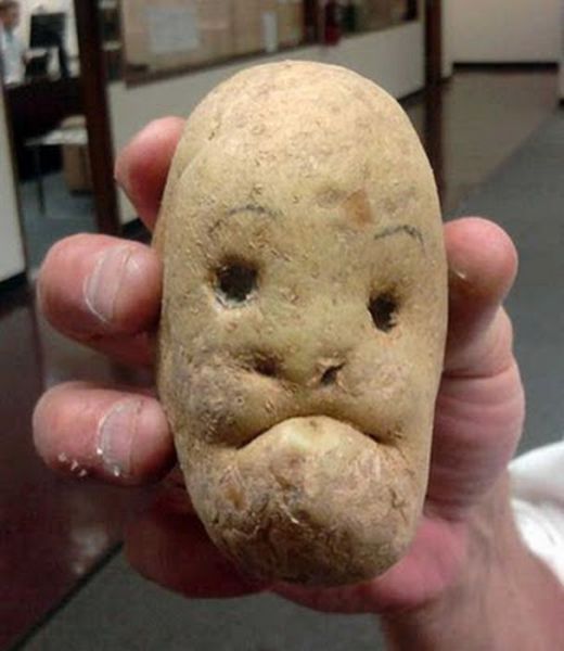 Potato face (21 pics)