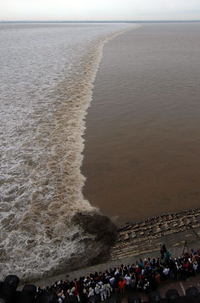 The Tide Is High (12 pics)