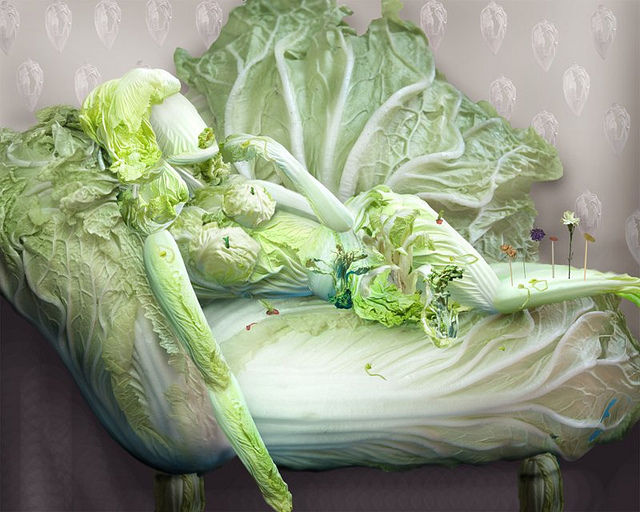 Chinese Cabbage Artwork (13 pics)