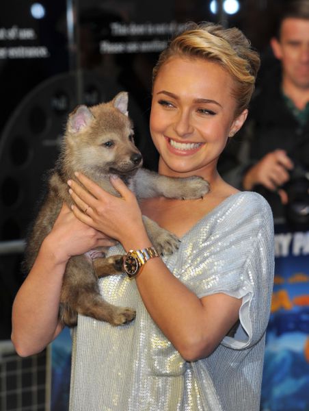 Hayden Panettier Has Got a New Friend (9 pics)