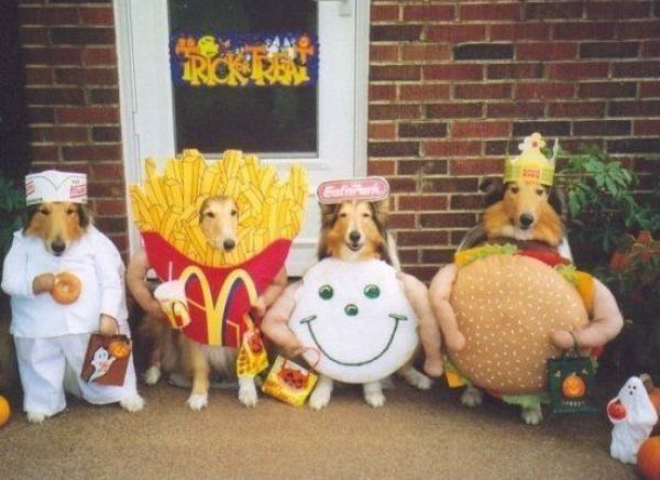 The Food is Going to the Dogs (53 pics)