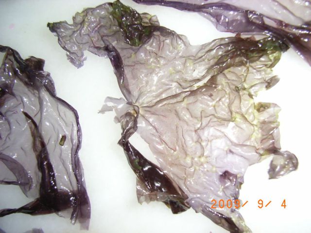 Fake Seaweed (8 pics)
