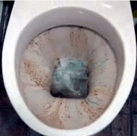 How to Clean Toilet (4 pics)