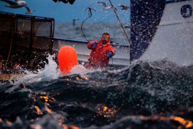 Scenes from the Deadliest Catch (31 pics)
