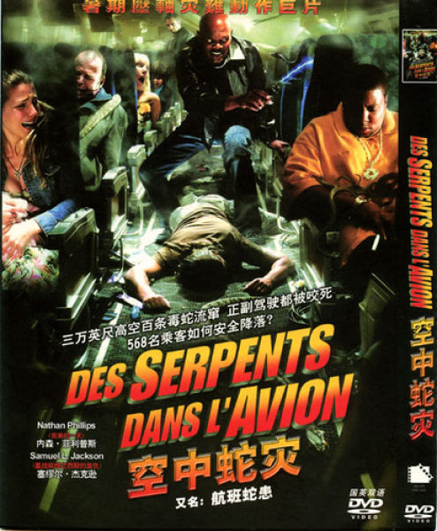 Funny Bootleg DVD Covers from Around the World