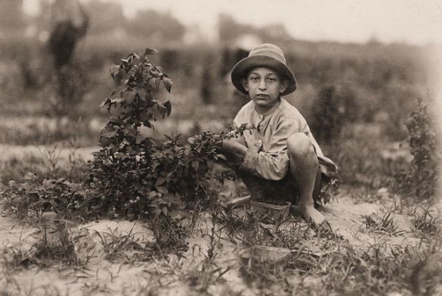 Child Labor in the U.S. History