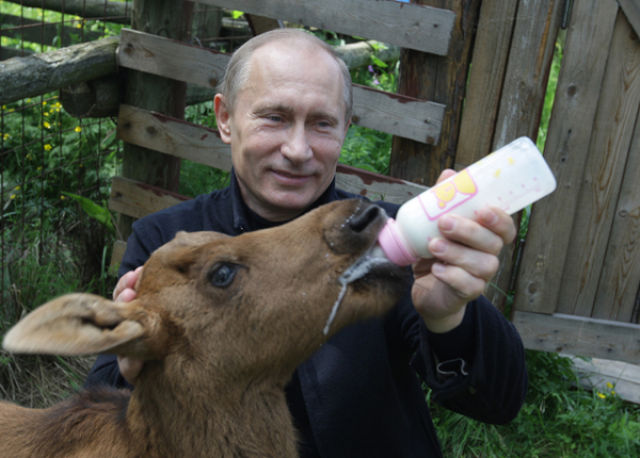 Cute Photos of Action Man Vladimir Putin with Animals