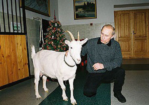 Cute Photos of Action Man Vladimir Putin with Animals