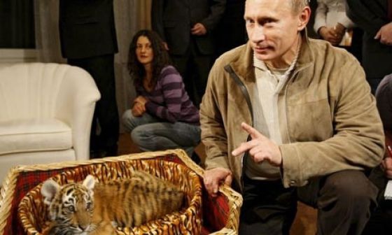 Cute Photos of Action Man Vladimir Putin with Animals