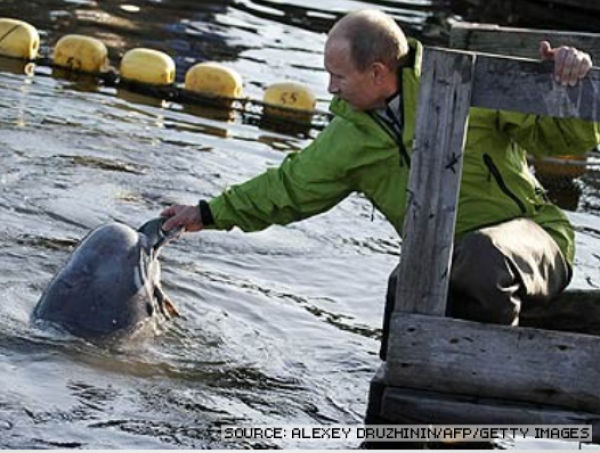 Cute Photos of Action Man Vladimir Putin with Animals