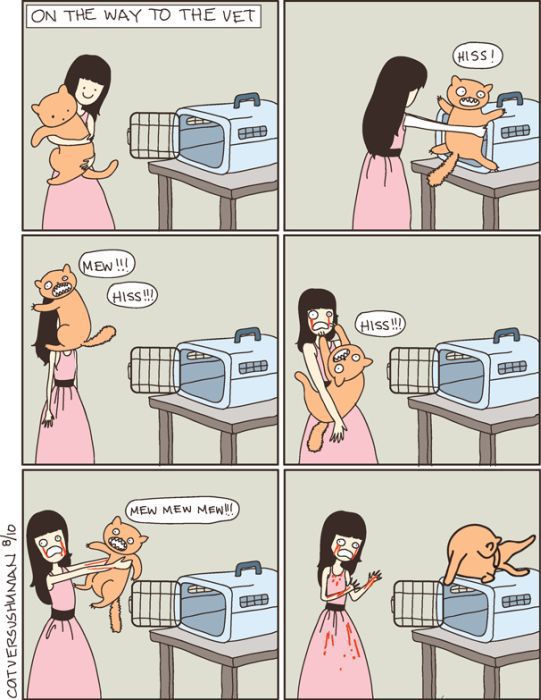 Hilarious Comics with Cats