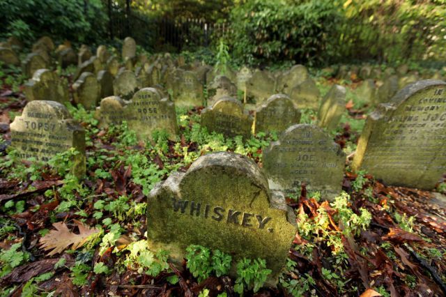 Pet Cemetery in Central London