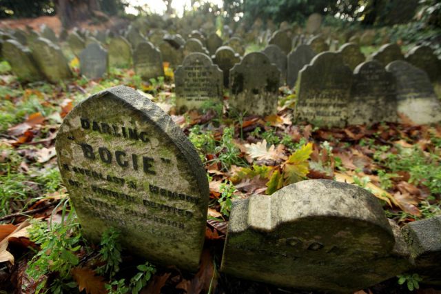 Pet Cemetery in Central London