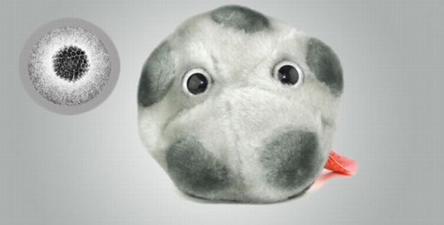 Plush Dolls as Microbes