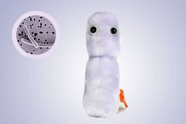 Plush Dolls as Microbes