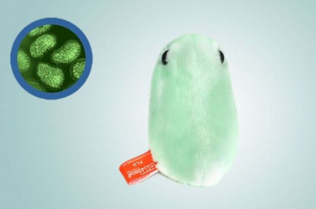 Plush Dolls as Microbes