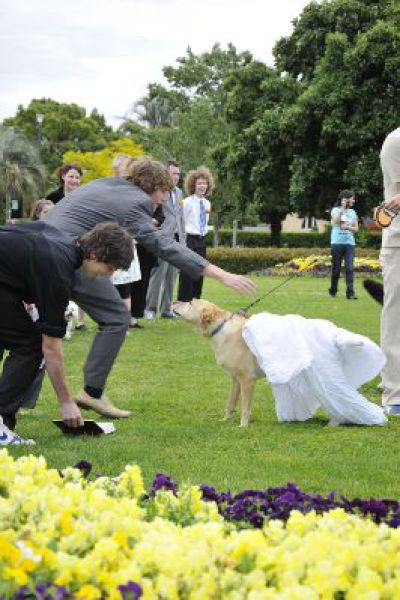 Woofy Wedding