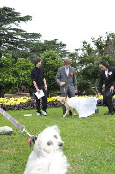 Woofy Wedding