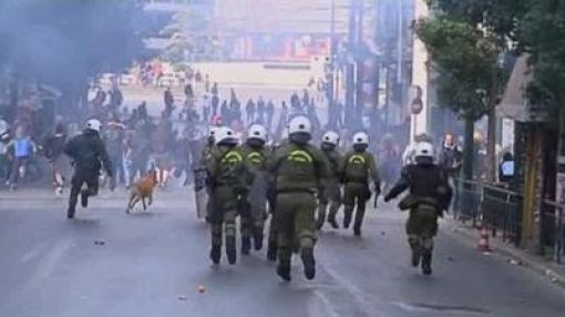 The Return of the Riot Dog
