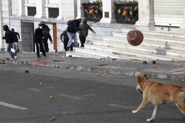 The Return of the Riot Dog