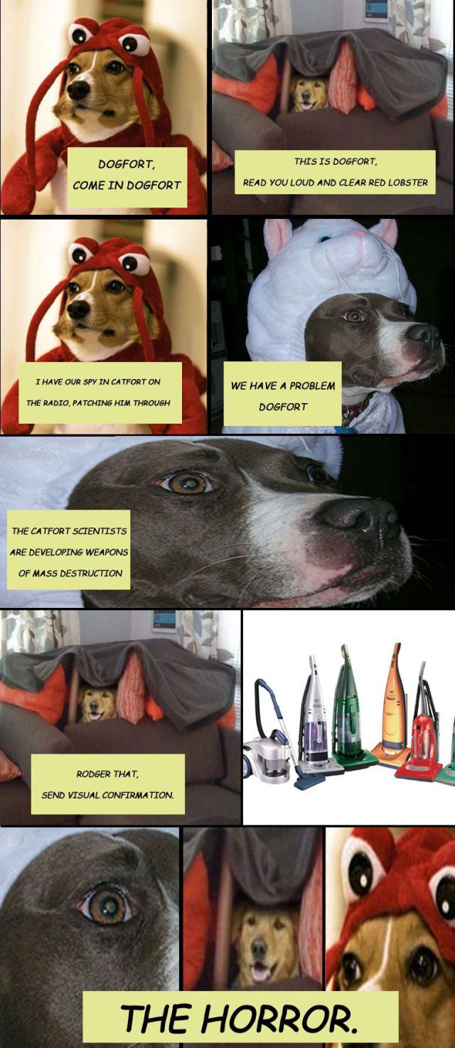 Dog Fort Comics and Memes