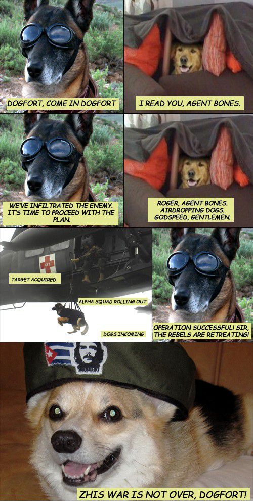 Dog Fort Comics and Memes