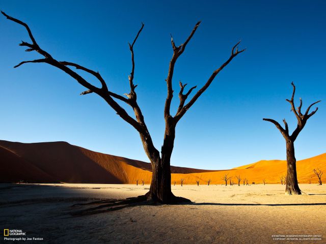 Stunning National Geographic Wallpapers
