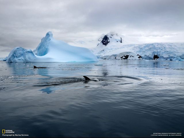 Stunning National Geographic Wallpapers