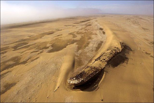 Forgotten Beauties of the Sea