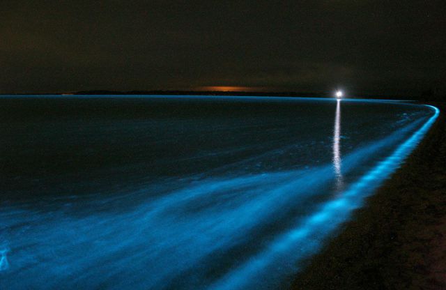 Beautiful and Rare Phenomenon of Water Glowing