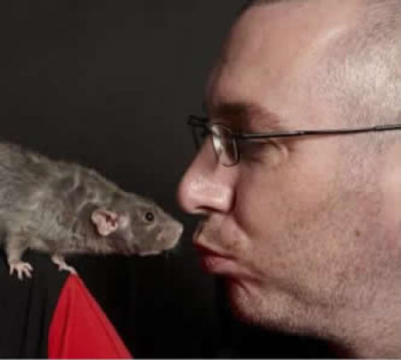 Uncanny Factoid: Ewww Rat Attack!