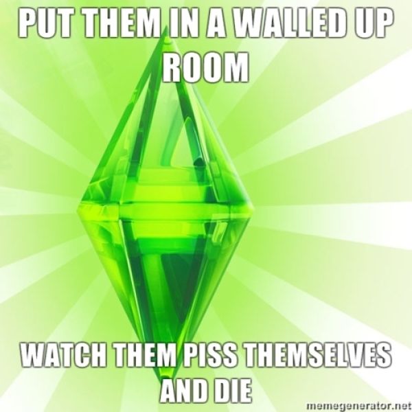 Some of the Coolest Sims Meme