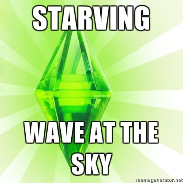 Some of the Coolest Sims Meme
