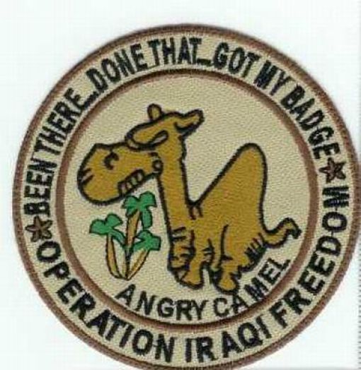 Cool American Military Patches