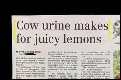 Hilarious Headlines